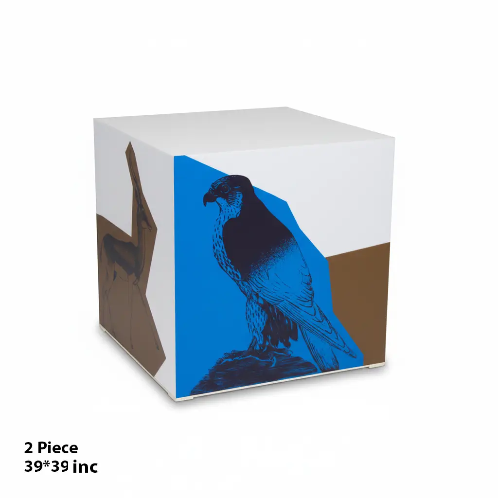 Cube Seating & Decorative Set (2 Pieces)