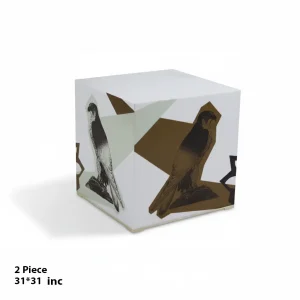 Cube Seating & Decorative (2 Pieces) – 31×31 inch