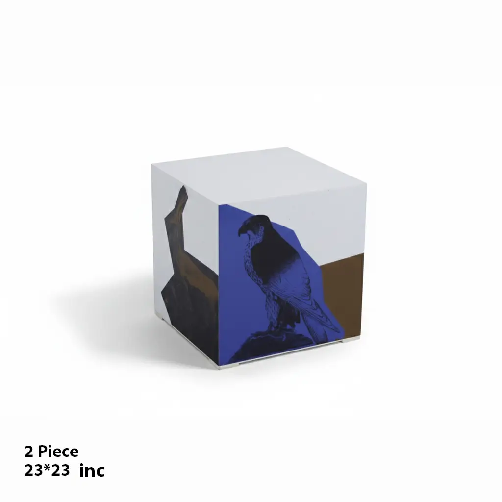 Geometric Bird Print Cube Set (2 Pieces) – 23×23 inch